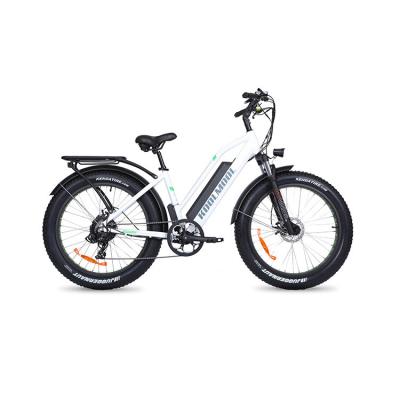 China Hot sale e style speed bike aluminum alloy electric bike for adults kickstand for mountain bike for adult low rider for sale