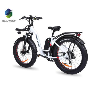 China Aluminum alloy manufacturer Price E bikes battery adult electric bicycle addmotor bicycle low rider electric bike for sale