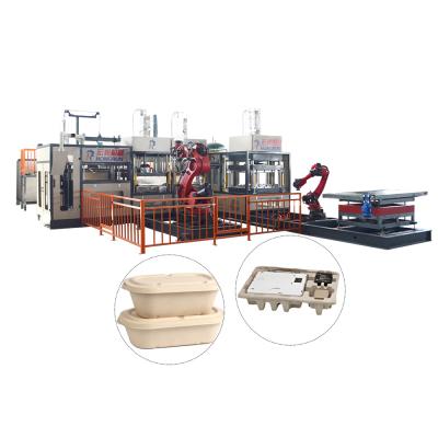 China food & Beverage Plant Wood Pulps Recycled Paper Pulp Lunch Box Making Machine for sale