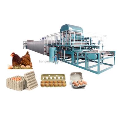 China Automatic Factory Small Egg Tray Machine Production Line 1000pcs/hr for sale