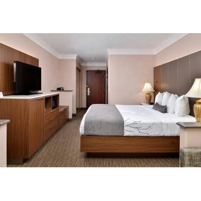 China PANEL Best Western plus hotel bedroom furniture set for sale