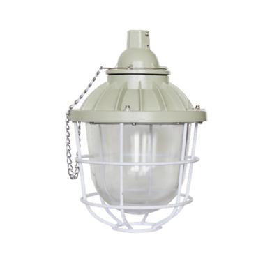 China Corriosion Road Lighting / Explosion Proof HID Explosion Proof Light Fixtures for sale