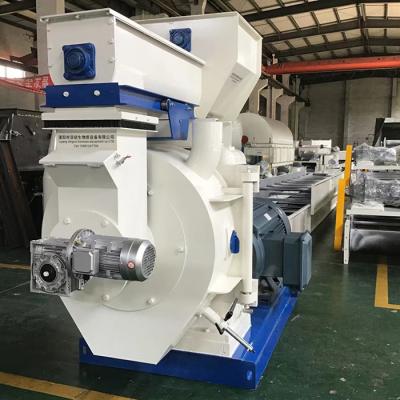 China Industrieel gebruik 2 rollers 10t/h biomassa houtpelletmachine Te koop