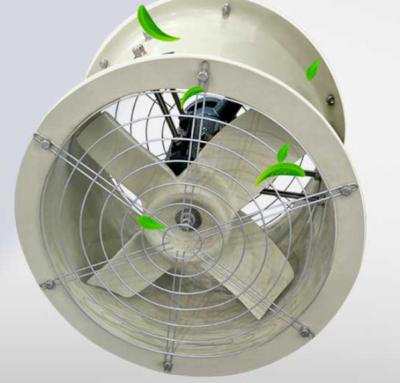 Cina Anticorrosivo Ventilatore in FRP resistente ad alta resistenza facile da usare Ventilatore assiale in FRP in vendita