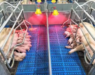 China High Strength Easy To Clean And Maintain GRP Floor Grating FRP Molded Pig Chicken Sheep Floor Grating for sale