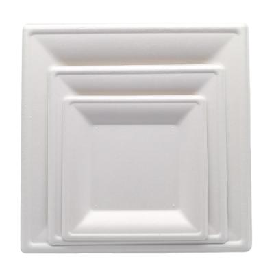 China Compostable Dinnerware Set For Party Dinner Pulp 6 8 10 Inch Bagasse Sugarcane Paper Dinnerware Square Plate for sale