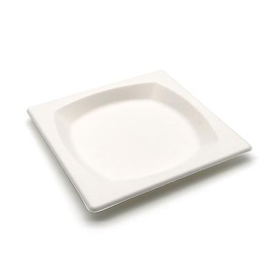 China Compostable Compostable Square Plates Eco-friendly Disposable White Natural Fiber Bagasse Bagasse Paper Plate Disposable Sugar Cane for sale