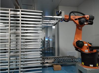 Chine Position de montage au sol du robot de palettisation et efficacité de la formation à vendre