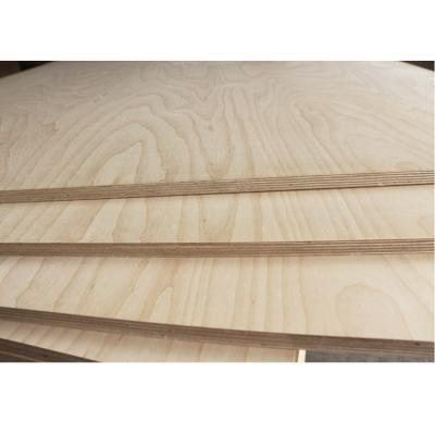 China Birch Aspen Pine Plywood X 12 plywood Fabrieksprijs Wit modern interieur Te koop