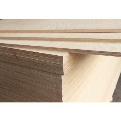 China Plywood modern melamine paper interior Birch first-class E0 for sale