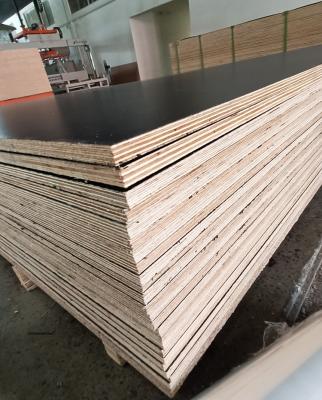 China Plywood plex marino de Okoume de 21 mm de espesor 3 4 pulgadas de madera contrachapada 4x8 hojas en venta