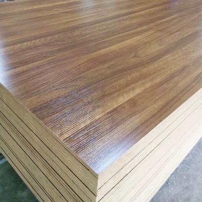 China Plywood de madera de yeso de abedul, abedul y abedul 3 mm 9 mm 12 mm Plywood de chapa de madera en venta