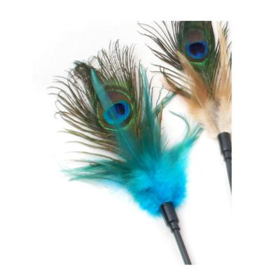 China Hot Sale Factory Supply Direct Stocked Peacock Feather All Color Match Lighter Cat Stick Toy for sale