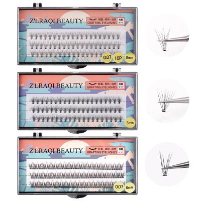 China Use For Hot Selling Super Black Ellipse Eyelash Flat Eyelash Extensions Grafting Grafting False Mink Eyelashes for sale