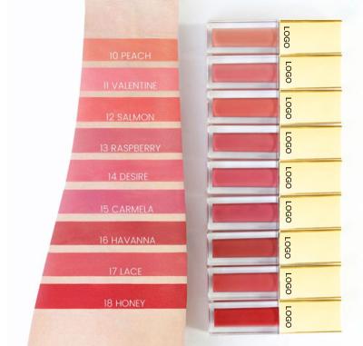 China 2021 lipstick waterproof matte rebranding lip gloss vendor private label lip gloss OEM ODM makeup liptint waterproof supplier for sale