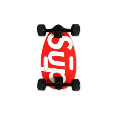 China New Hot And High Friction Maple Skateboard Mini Skateboard With 100% Youth Style Canadian Deck Griptape for sale