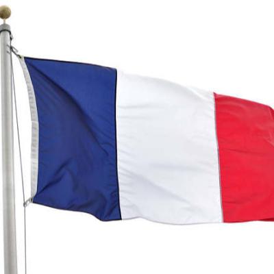 China Health Care Institutes Red White Green Hot Sale Custom Country Flag France Flag for sale