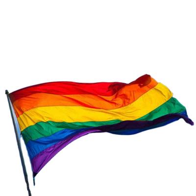 China Health Care Institutes Wholesale Digital Printing Cheap Custom Rainbow Flags Carry LGBT Pride Flag Banners For Decoration for sale