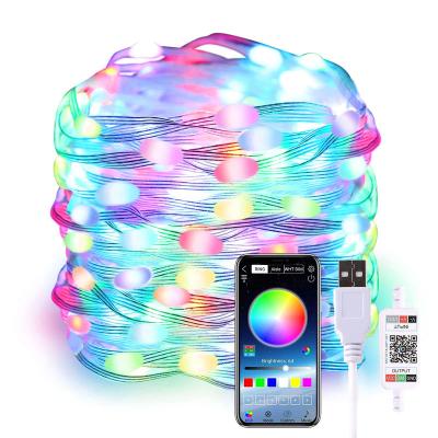 China String light soft wire 100LEDs 10m USB APP controlled christmas tree lights smart string dyi tree lights for sale