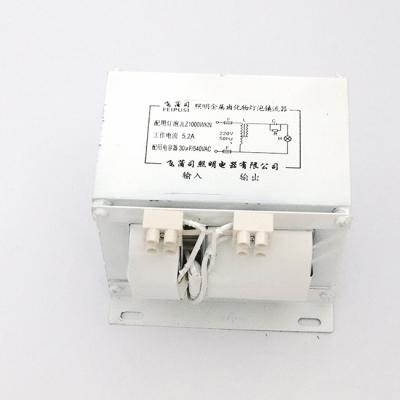 China Magnetic Factory Direct Supply Ballast Of Fish Trap Lamp Magnetic Ballasts For Fishing 1000W Magnetic ballasts for sale