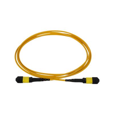 China FTTH FTTB FTTX Network 12 24 Fiber Patch Cable 9/125 Fiber MPO Single Mode Trunk Fiber Patch Cords to MPO Female Male for sale