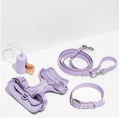 China Custom Hot Selling Purple PVC Gently Pattern Small Dogs And Cats Arm Vest Set For Pet Travel for sale