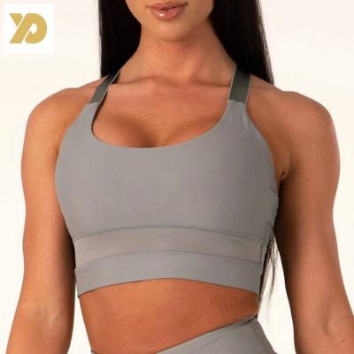 China 2021 Best Breathable Wholesale Sports Bra Women Sports Wear Plus Size Sports Padded Bra Gym Wear From China Manufacturer for sale