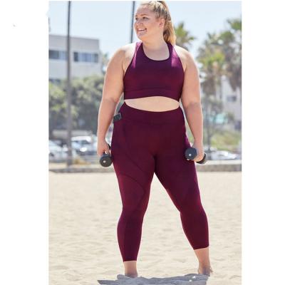 China Breathable High Quality Plus Size Gym Wear Workout Apparel Plus Size Yoga Equipment For Women Gym Leggings Plus Sizes Activewear for sale