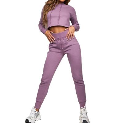 China Breathable Sexy Sports Crop Top Fleece Striping High Waist Cotton Polyester Tracksuit Gym For Women for sale