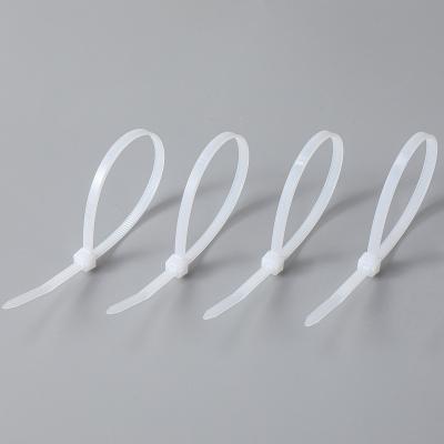 China White Plastic Eco - Friendly Nylon Cable Tie Manufacturer Self - Locking Zip Ties for sale