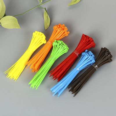 China Custom Wholesale Multicolor Plastic Cable Ties Nylon Cable Ties Eco - Friendly for sale