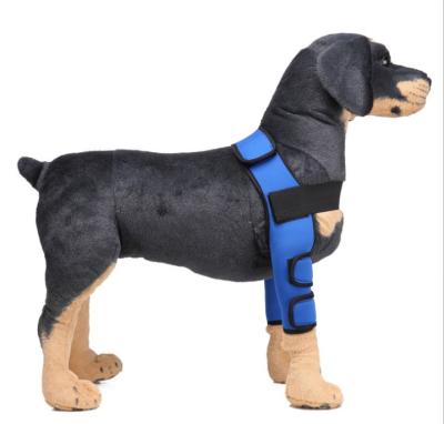 China Lovoyager Paw Brace Professional Viable Dog Boots Leg Protector Dog Brace Dog Knee Brace for sale