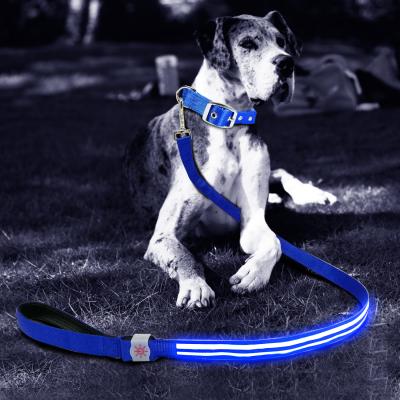 China Large Dog LED Dog Night Viable Cool Collar Leash Safe Lighting Lead for sale