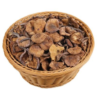 China Feral Armillaria Dry Armillaria Agriculture Quality Dropshipping Dry Fine Products for sale