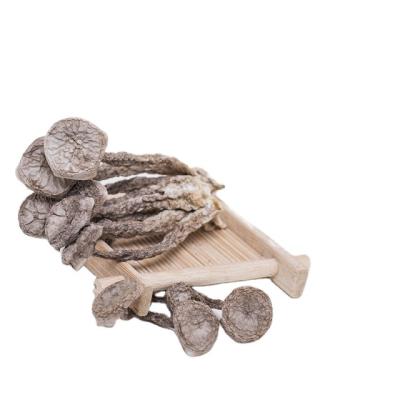 China Dried 10cm A Grade Free Velvet Antler Mushroom Sand Velvet Antler Mushroom for sale