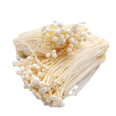 China FROZEN Clean No Dry Sand Needle Mushroom No Extra Rootless Sulfur Enoki Mushroom for sale