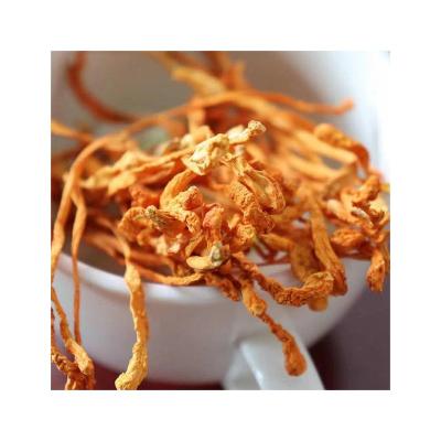 China Guangdong dry agricultural products clean and sand Cordyceps free dry flowers for sale