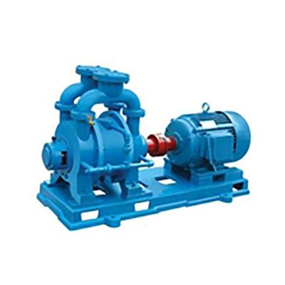 China High Quality Industrial Utilities New Design 2SK Liquid Ring Vacuum Pump for sale