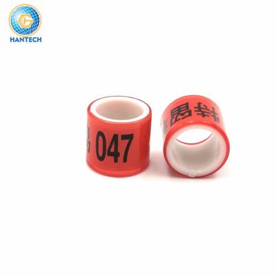 China Viable 10mm Polycarbonate Piegon Rings Bird Leg Bands Canary Yellow Pigeon Foot Rings for sale