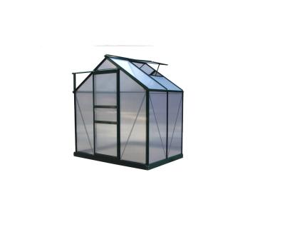 China 6x6ft Hot Selling Easily Assembled Mini Greenhouse for sale