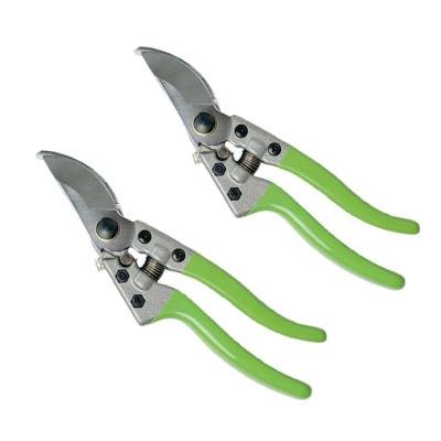 China Anti-Slip Handle Stainless Floral Fruit Grass Plant Tree Branch Cutter Pruner Shrub Gardening Pruner Grafting Hand Bypass Garden Shears for sale