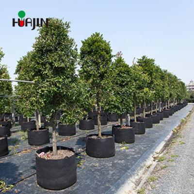 China Used for planting heavy duty thickened non-woven fabric gallons vegetable pots grow bags with handles for sale