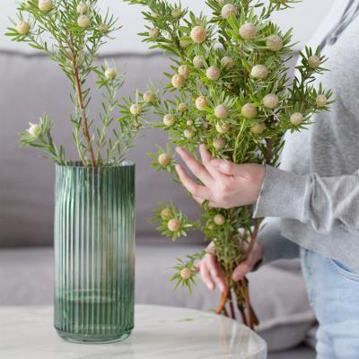 China Amber Glass Striped Nordic Modern Minimalist 8 9 22cm Clear Translucent Flower Vases Small Round Neck Narrow Cylinder Wedding For Homes for sale