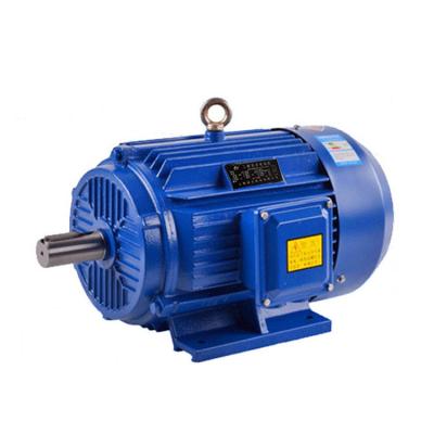 China Universal Small Size High Voltage High Efficiency Totally Enclosed Three Asynchronous Brushless Motors for sale