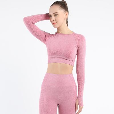 China QUICK DRY Sports Wear For Women 2020 Seamless Yoga Set Fitness Crop Tops Long And Sleeve Legging Pants Sportswear for sale