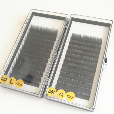 China Light Labeling M Loop OEM / Private Logo L Volume Lashes Eyelash Extensions for sale