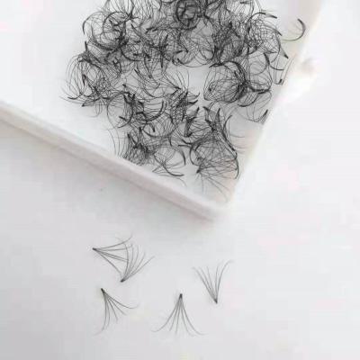 China Lightweight 3D 4D 5D 6D 10D J Since C D Curl Loosely Whips Premade Fans Volume Eyelash for sale