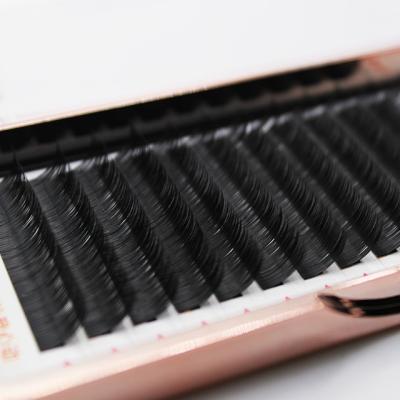 China High Grade Lightweight Ellipse Trays Faux Mink Flat Maker Eyelash Extension Lashes for sale