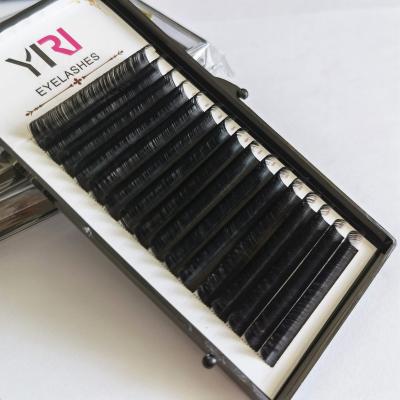 China Alibaba Light China Manufacturer Cashmere Lash Vivienne Silk Eyelash Extensions for sale