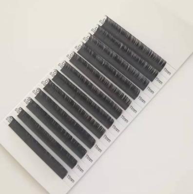 China OEM / Private Light Labeling Person Lashes Single Wick 0.03mm Eyelash Extensions for sale